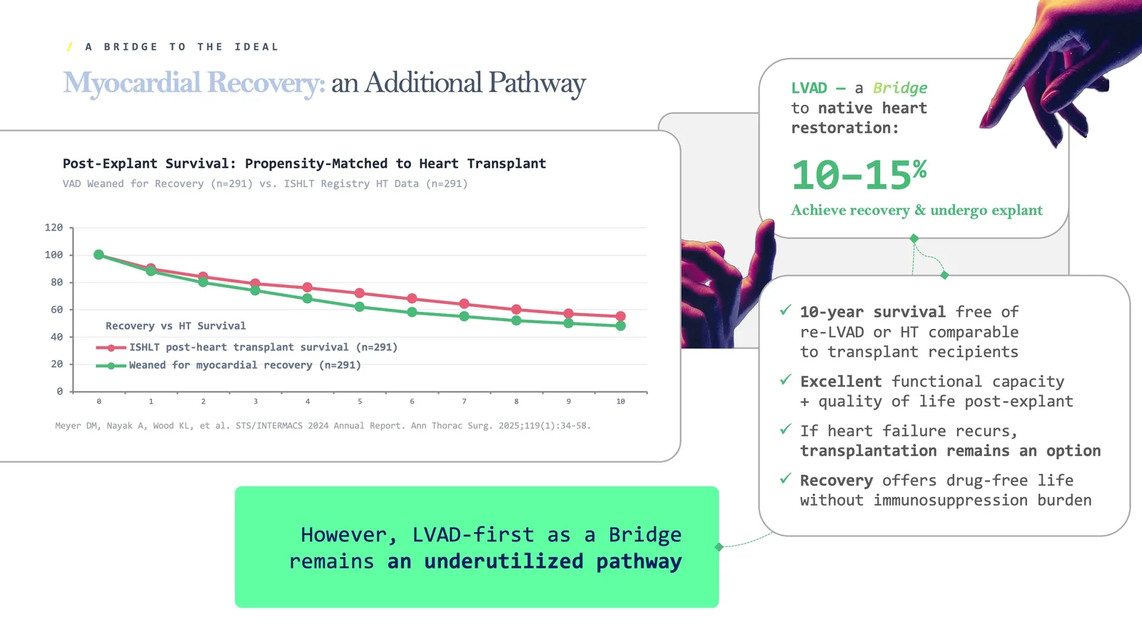 Myocardial recovery — an additional pathway