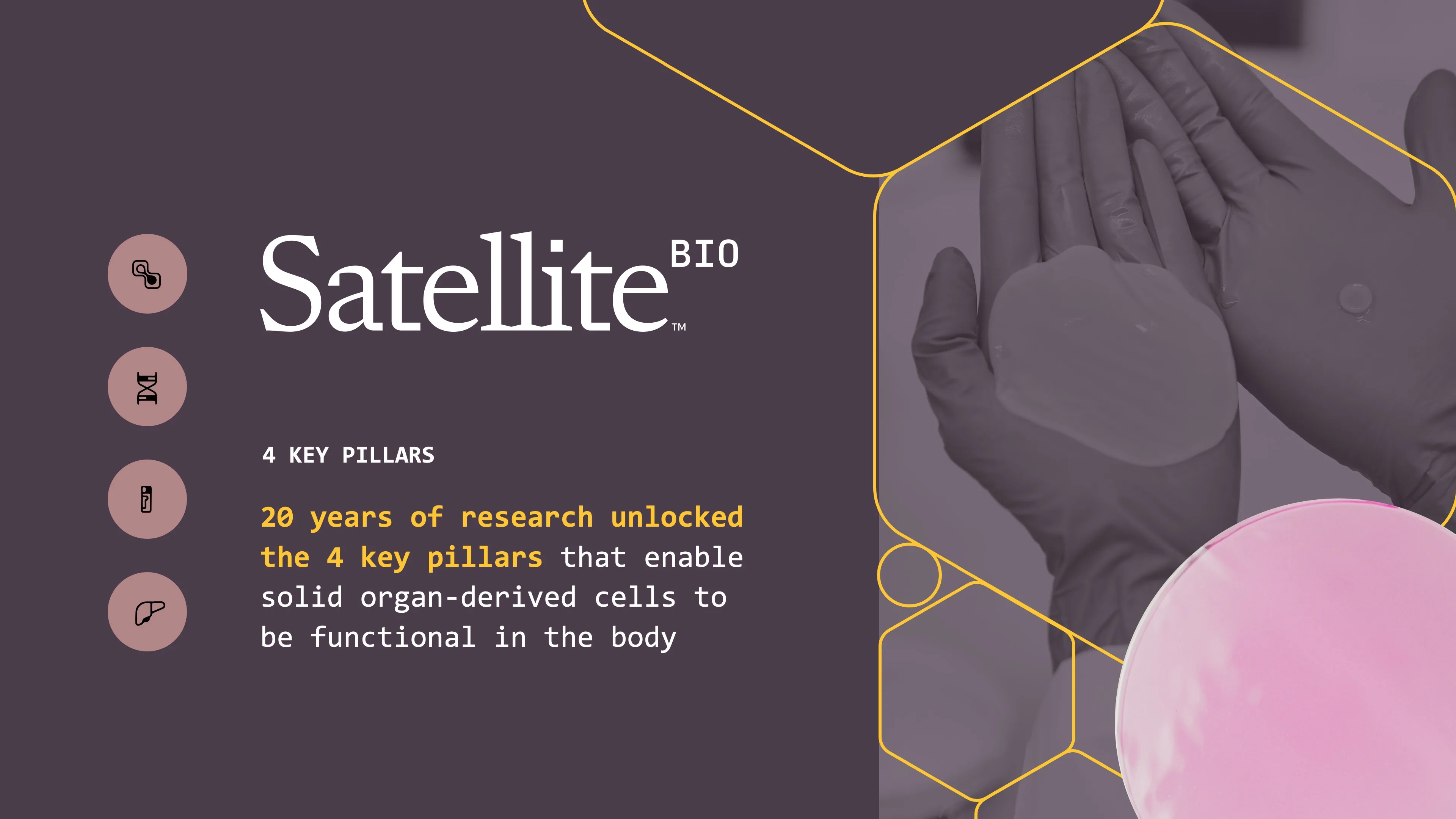 Four key pillars of tissue therapeutics