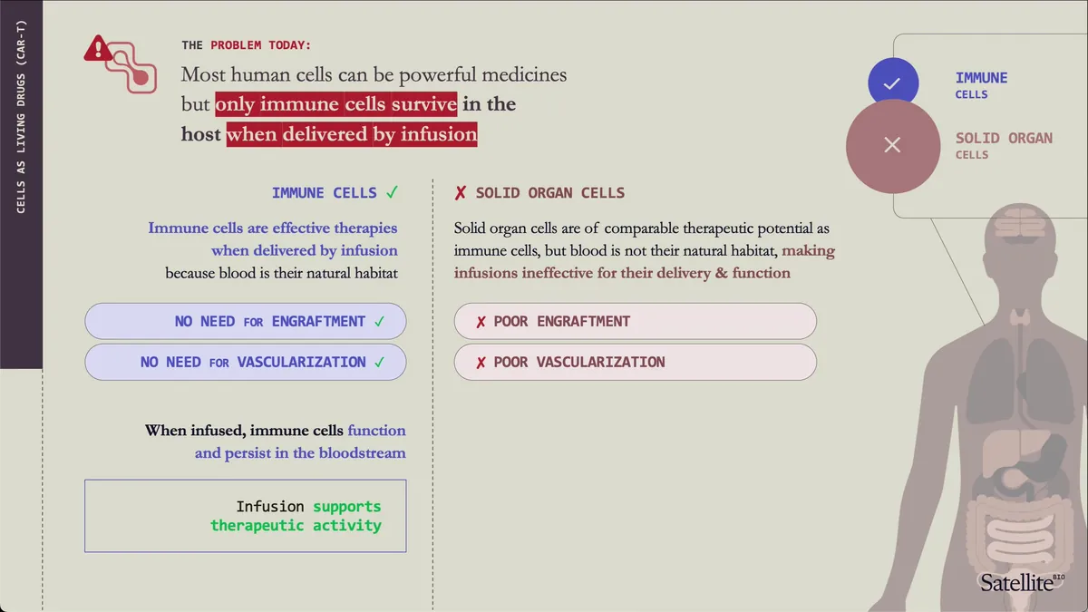 Immune vs solid organ cells
