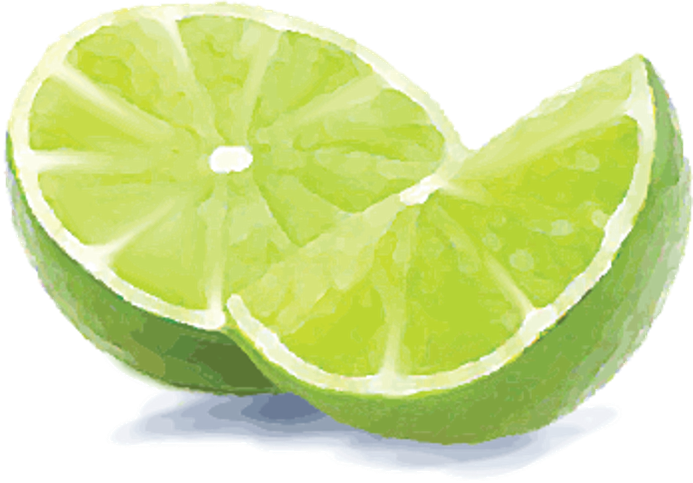 Pectin watercolor illustration