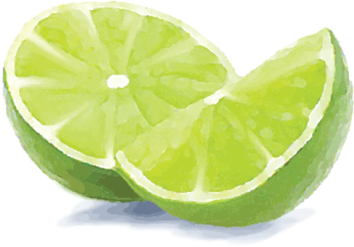 Pectin watercolor illustration